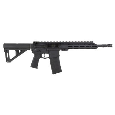 US PALM STORM CAT4 5.56X45MM NATO - Image 1 of 3