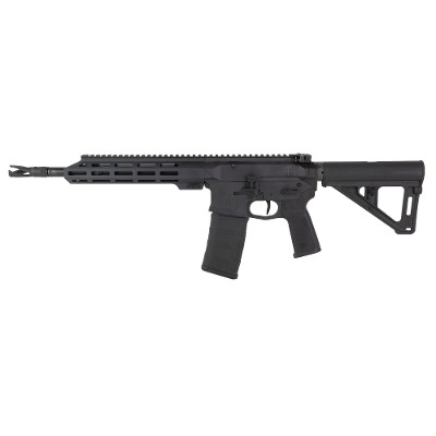 US PALM STORM CAT4 5.56X45MM NATO - Image 2 of 3