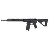 US PALM STORM CAT4 5.56X45MM NATO - Image 2 of 3