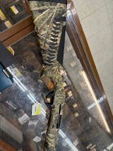 BENELLI SUPER BLACK EAGLE 3 12 GA - Image 3 of 3