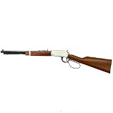 HENRY H001TER EVIL ROY .22 S/L/LR - 1 of 2