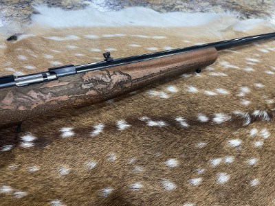 RUGER AMERICAN RIFLE - RIMFIRE FARMER EDITION .17 HMR - Image 3 of 9