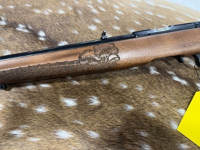 RUGER AMERICAN RIFLE - RIMFIRE FARMER EDITION .17 HMR - Image 6 of 9