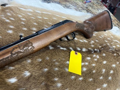 RUGER AMERICAN RIFLE - RIMFIRE FARMER EDITION .17 HMR - Image 8 of 9