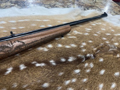 RUGER AMERICAN RIFLE - RIMFIRE FARMER EDITION .17 HMR - Image 4 of 9