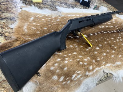 H&R EXCELL 12 GA - Image 1 of 10