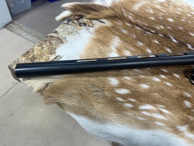 H&R EXCELL 12 GA - Image 6 of 10