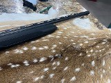 H&R EXCELL 12 GA - Image 8 of 10