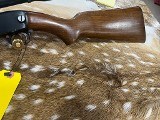 WINCHESTER 61 .22 LR - Image 4 of 10