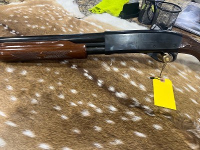 REMINGTON 870 WINGMASTER 12 GA - Image 9 of 9