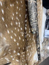 MOSSBERG 930 Duck Commander 12 GA - 4 of 8