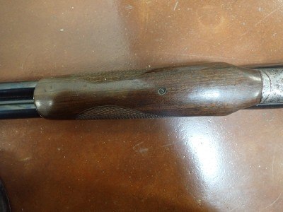 SAVAGE ARMS Fox B-ST 12 GA - Image 7 of 12