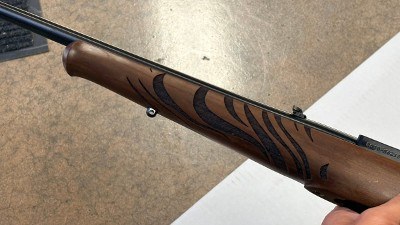 RUGER 10/22 CARBINE (21168) .22 LR - Image 6 of 8