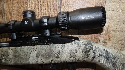 RUGER 10/22 .22 LR - Image 3 of 6