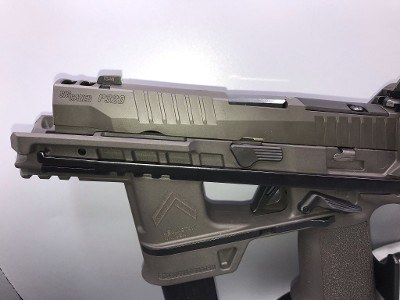 SIG SAUER P320 FLUX RAIDER 9MM LUGER (9x19 PARA) - Image 9 of 11