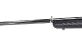RUGER American Rimfire .22 WMR - 13 of 25