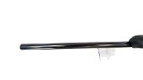 RUGER American Rimfire .22 WMR - 25 of 25