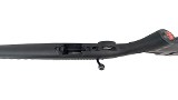 RUGER American Rimfire .22 WMR - 23 of 25