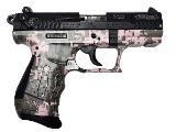 WALTHER P22 .22 LR - 1 of 4