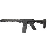PALMETTO STATE ARMORY PA-15 .300 AAC BLACKOUT - 1 of 3