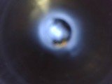 REMINGTON 1100 12 GA - Image 24 of 25