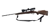WAFFEN GLATZ Mauser Action 243win - Image 9 of 25