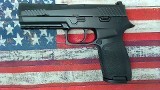 SIG SAUER P320 9MM LUGER (9x19 PARA) - 4 of 9