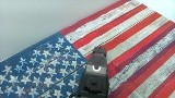 SPRINGFIELD ARMORY XDM ELITE 9MM LUGER (9x19 PARA) - 5 of 9