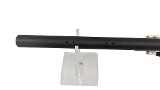 ARMALITE Ar-7 Explorer .22 LR - 20 of 21