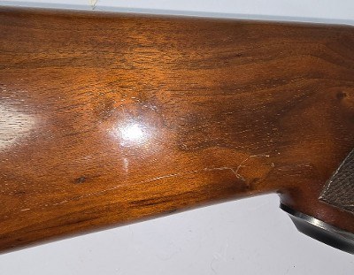 RUGER Red Label 20 GA - Image 16 of 17