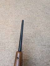 RUGER 77/17 .17 WSM - 16 of 20