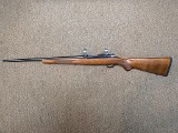 RUGER 77/17 .17 WSM - 1 of 20