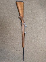 RUGER 77/17 .17 WSM - 8 of 20