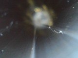 REMINGTON 1100 12 GA - Image 19 of 25
