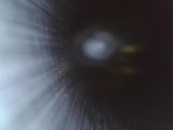 MOSSBERG 500 12 GA - Image 25 of 25
