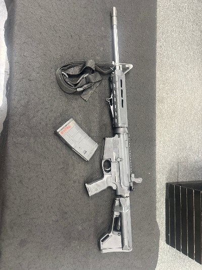 PALMETTO STATE ARMORY PA-10 .308 WIN - Image 1 of 8