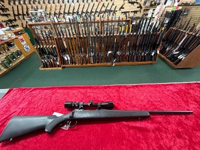 SAVAGE ARMS 10 .243 WIN - Image 1 of 1