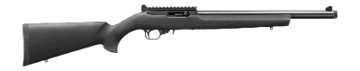RUGER 10/22 .22 LR - Image 1 of 1