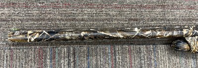 WEATHERBY ELEMENT WATERFOWL MAX-5 12 GA - Image 5 of 13