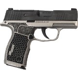 SIG SAUER P365 9MM LUGER (9X19 PARA) - 2 of 3