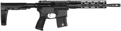 Wilson Combat Protector .300 HAM&sbquo;R - Image 1 of 1