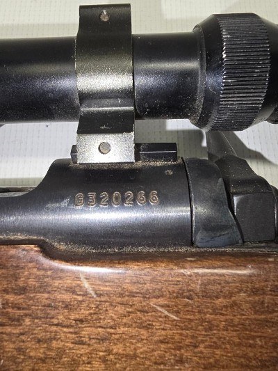 SAVAGE ARMS 10 .243 WIN - Image 4 of 12