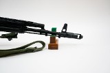 SAIGA SGL31 5.45X39MM - 9 of 9