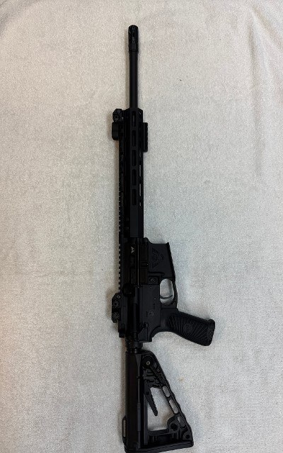 WILSON COMBAT PROTECTOR CARBINE 5.56X45MM NATO - Image 1 of 3