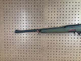 WINCHESTER WILDCAT .22 LR - 8 of 9