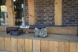 BROWNING SILVER 12 GA - Image 2 of 11