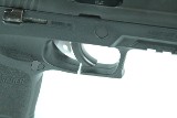 SIG SAUER P250 40/357 SIG - 13 of 25