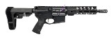 PALMETTO STATE ARMORY PA-15 .300 AAC BLACKOUT - Image 2 of 10