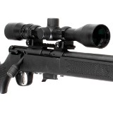 SAVAGE ARMS 93R17 .17 HMR - 3 of 3