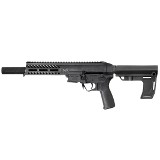 PATRIOT ORDNANCE FACTORY (POF) PSG-22 .22 LR - 1 of 2